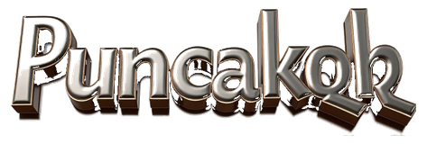 puncakqq logo